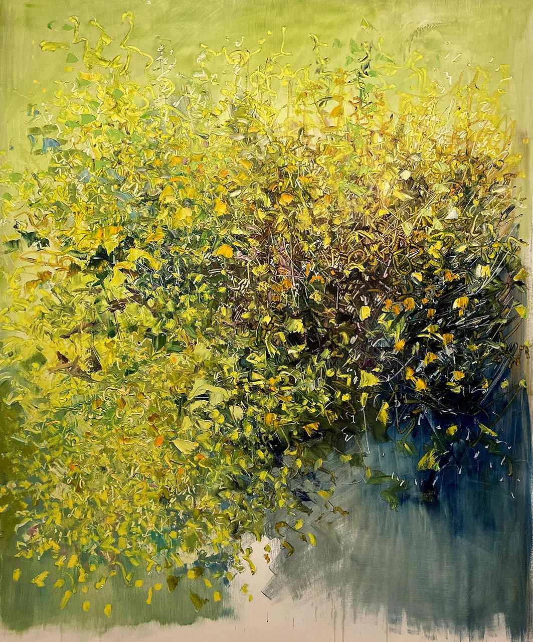 Ginestra, cm 170x140, olio su tela, 2017