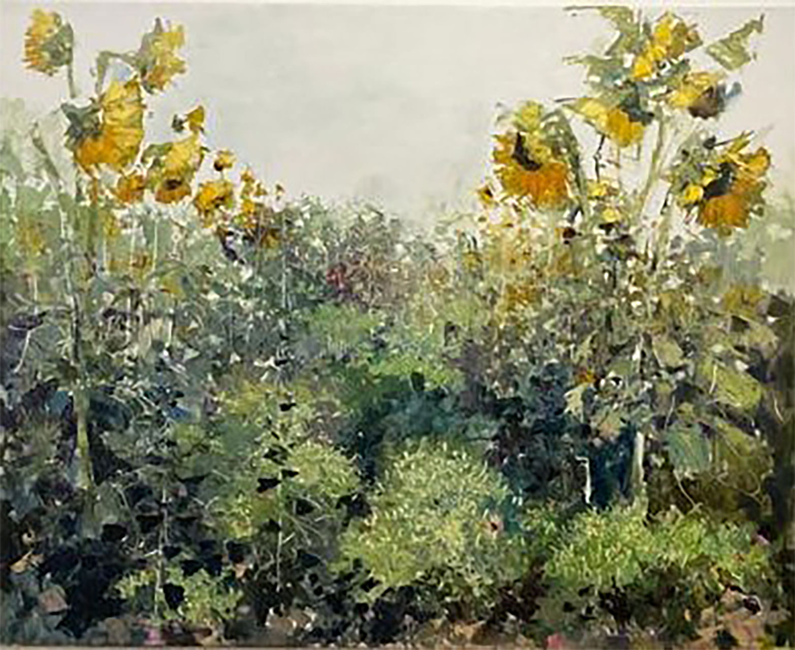Girasoli orizzontali, cm 120x200, olio su tela, 2022