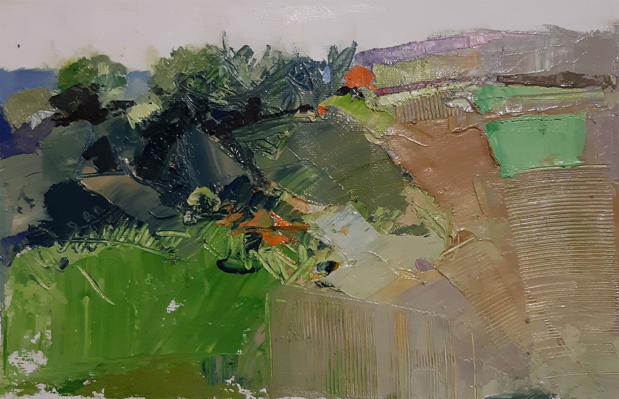 Crete senesi, cm 21x34, olio su tela, 2024